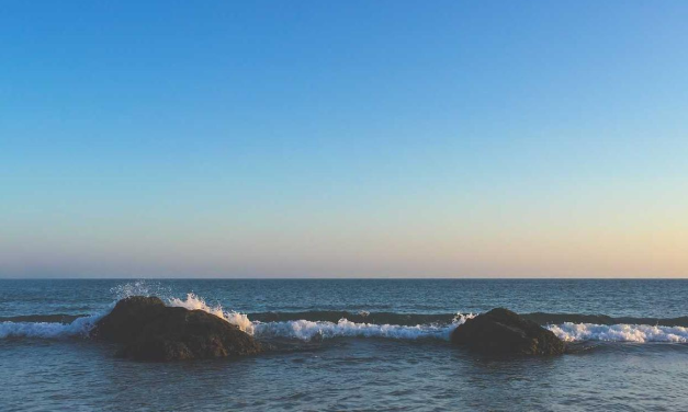 Natus id rem sed voluptas reprehenderit repudiandae